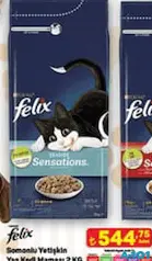 FELİX SOMONLU YETİŞKİN YAŞ KEDİ MAMASI 2 KG